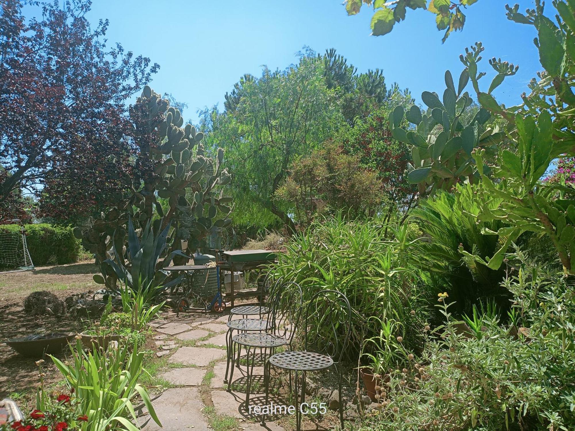 Hotel La Casa Di Fede à Lanuvio Extérieur photo