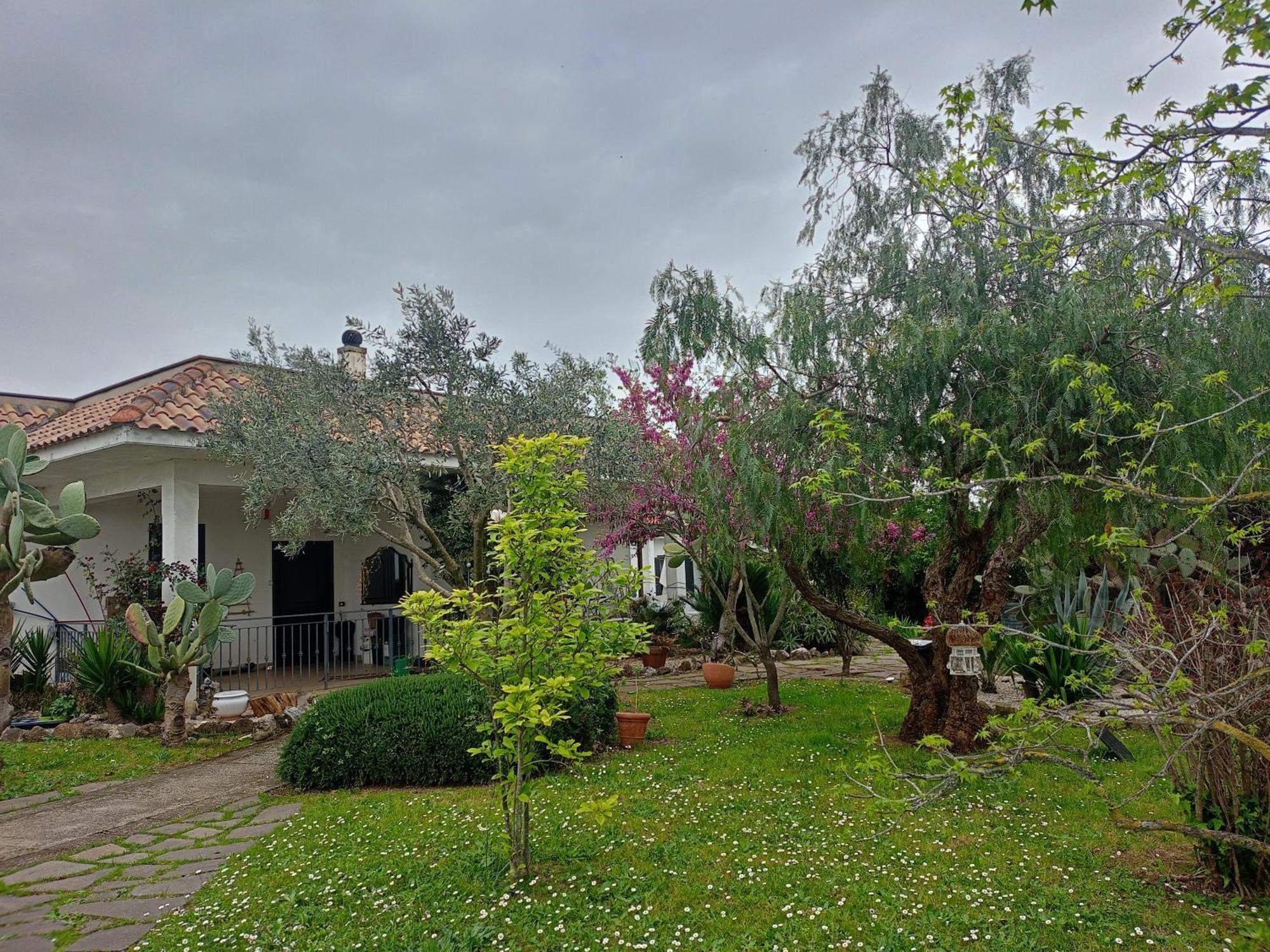 Hotel La Casa Di Fede à Lanuvio Extérieur photo